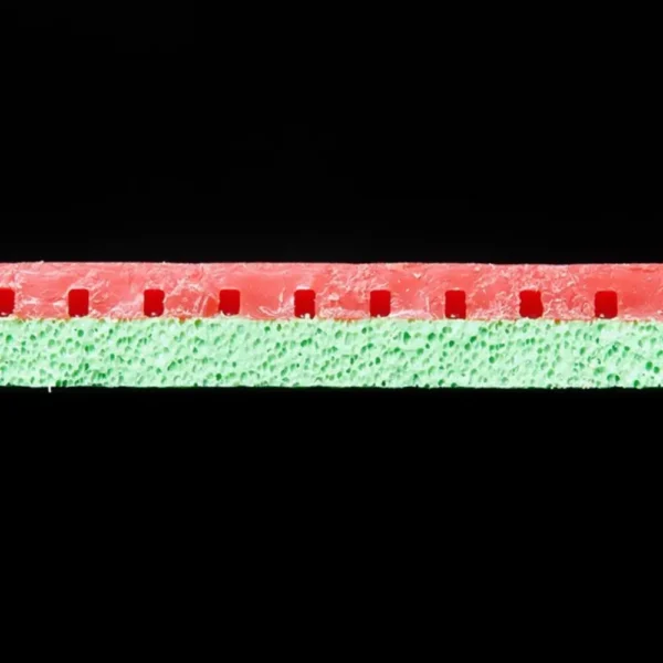 andro-rasanter-r45-offensive-rubber-sponge-detail