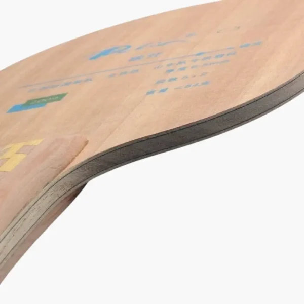 palio-c3-carbon-blade-carbon-detail